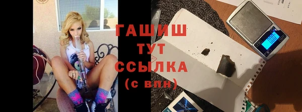 прущие грибы Верхний Тагил