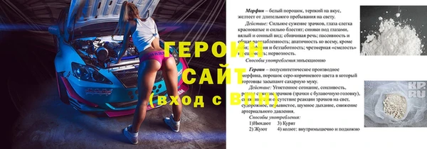 прущие грибы Верхний Тагил