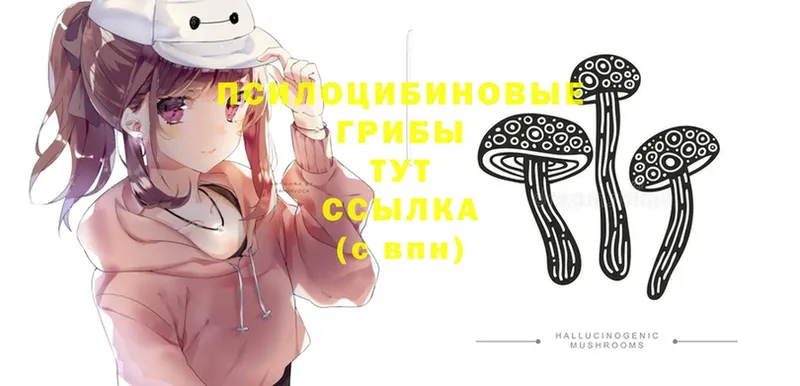 Галлюциногенные грибы Psilocybine cubensis  mega ONION  Электросталь 